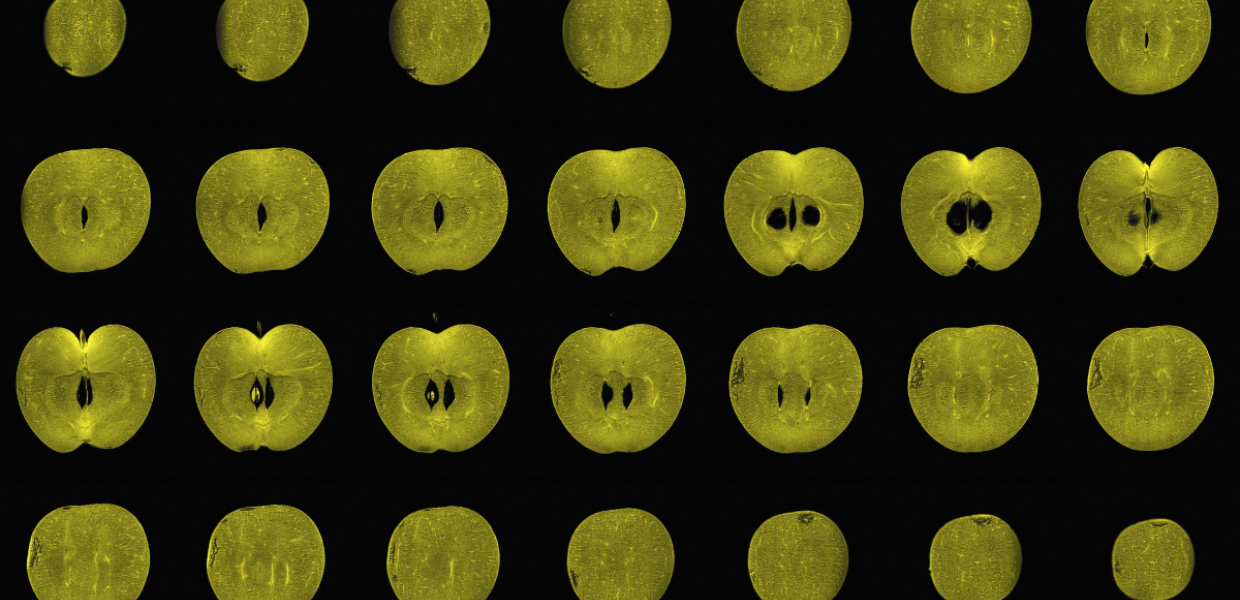 MRI scans of apples